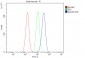 Anti-ALDH2 Antibody Picoband™ (monoclonal, 5G7)
